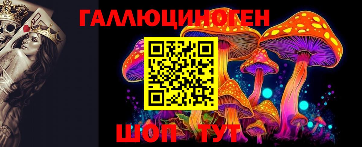 Псилоцибиновые грибы Psilocybe Тельмана